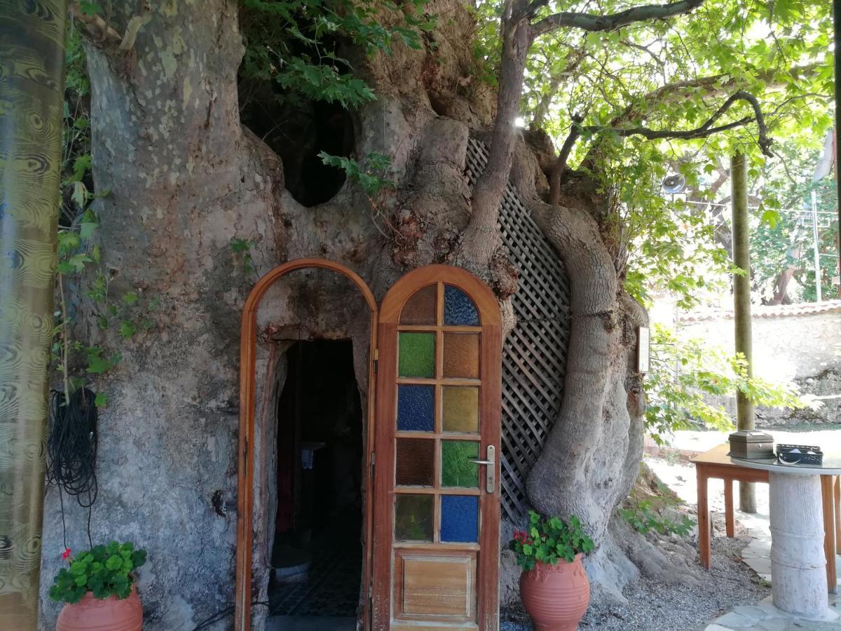 カラブリタ Plataniotissa Mansionヴィラ エクステリア 写真
